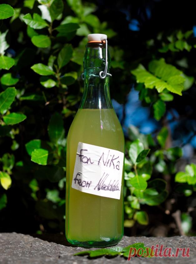 Мандаринелло 




Ликер можно и нужно делать не только на лимонной цедре. На зеленой от самых первых мандаринов, в которой особый состав ароматических масел, он получается не менее интересным, чем лимончелло, но с…