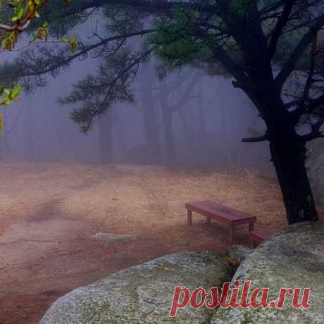#bench #fog #velvia #film #perspective #rocks #silence #Busan #park
