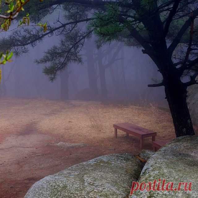 #bench #fog #velvia #film #perspective #rocks #silence #Busan #park