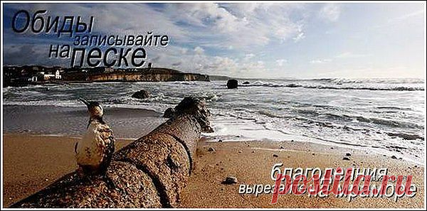 Группа: Мудрые мысли и изречения