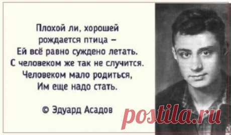 17 лучших стихов Эдуарда Асадова