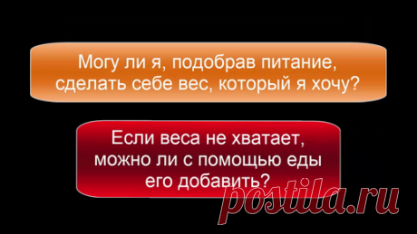 Подобрав питание, можно ли сделать себе желаемый вес ►Любая еда и питье повышает наш вес, а уменьшается он за счет выделений разного рода и затрат энергии.
►Можно настроить свое питание так, чтобы в…