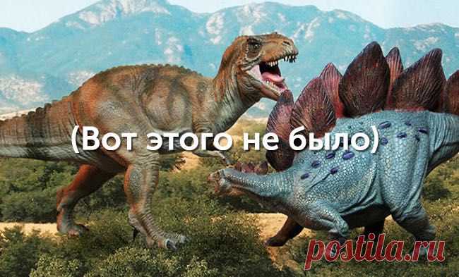 35 фактов, которые звучат как ложь, но это правда