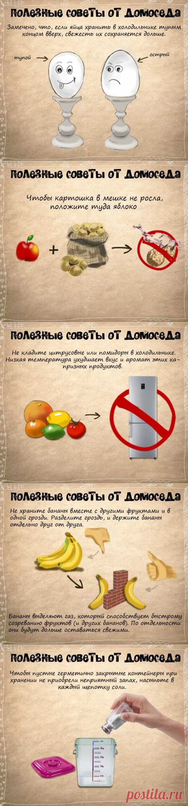 Советы от домоседа - Советы на каждый день