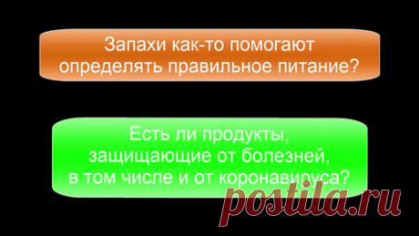Есть ли продукты, защищающие от болезней