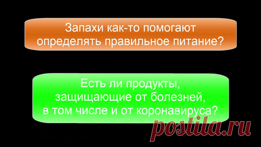 Есть ли продукты, защищающие от болезней