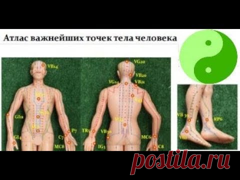❗АТЛАС ВАЖНЕЙШИХ ТОЧЕК ТЕЛА ЧЕЛОВЕКА . Примеры массажа