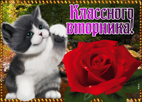 Картинка классного вторника