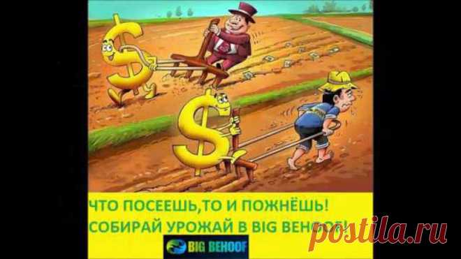 Мой доход и вывод с кабинета BIG BEHOOFй денег на кошелёк Вера Сафонова