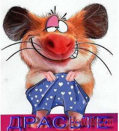 Наталья Сержант