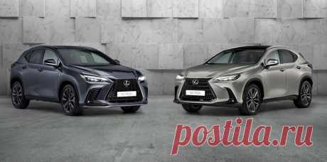 Кроссовер Lexus NX 2022 четвертого поколения
