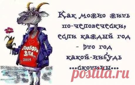 Юмор! С хорошим настроением в Новый Год!
