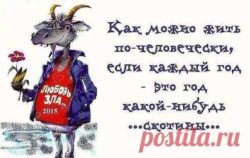 Юмор! С хорошим настроением в Новый Год!