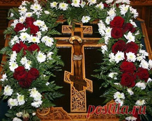 Мой Мир@Mail.Ru