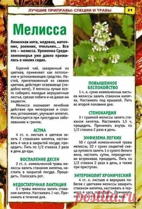 ЕСЛИ НЕРВЫ СОВСЕМ РАСШАТАЛИСЬ