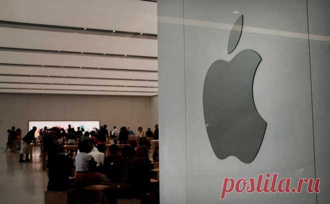 Apple начала разработку iPad с роботизированной рукой. Новое устройство от Apple должно стать командным центром «умного» дома. Управлять им можно будет при помощи Siri и ИИ-платформы Apple Intelligence. Новинка должна выйти в 2026-м или 2027 году, ее предполагаемая стоимость — $1 тыс.