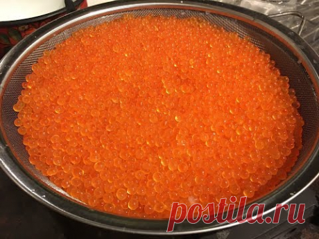 Засолка икры - пятиминутка