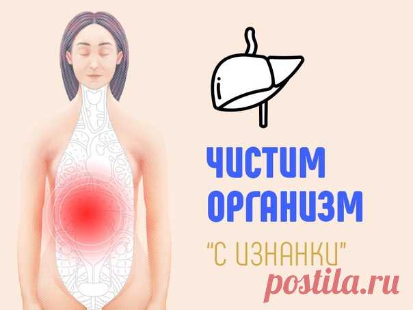 ЧИСТИМ ОРГАНИЗМ “С ИЗНАНКИ”

Печень. В ней нет нервных окончаний. Она “терпит и молчит”. И разрушается. В этой статье поговорим о том, как подружиться с собственным организмом.

Этот диагноз слышит почти каждый человек после 40 лет, который пришёл на плановое УЗИ. Жировая болезнь печени. Ты можешь и не знать о ней, а тем временем это причина:

- проблем с кожей,
- лишнего веса,
- проблем с репродуктивным здоровьем,
- нервных болезней,
- проблем с ЖКТ,
- заболеваний щитовид...