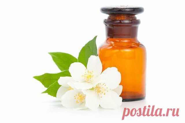 Самые эффективные способы, как отпугнуть комаров |