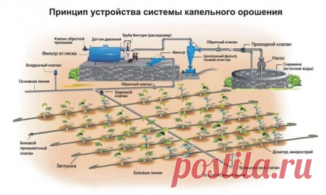 Системы капельного полива. 
 
Системы капельного орошения медленно, но верно входят в нашу жизнь. Если раньше это было зарубежной экзотикой, то теперь это нормальное явление стремительно набирающее обороты в России. 
Каждый у кого есть дачный участок знает о необходимости полива своих насаждений. 
 
Но далеко не у каждого 
есть централизованная система водоснабжения или скважина на своих 6 сотках. Вот и приходится скрести по сусекам, собирая по капельке воду - зимой трамбо...
