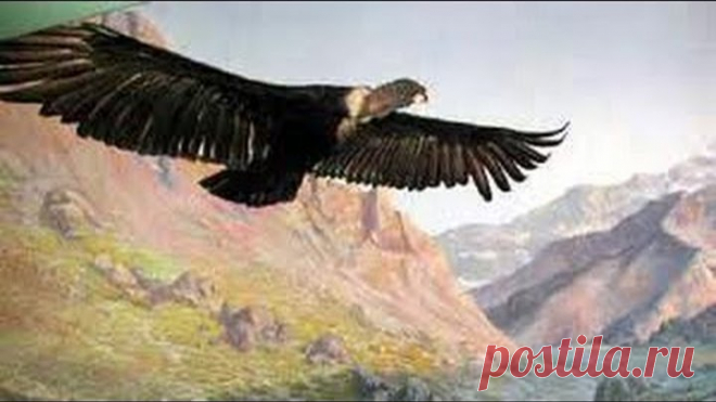 El Condor Pasa - Paul Simon & Garfunkel