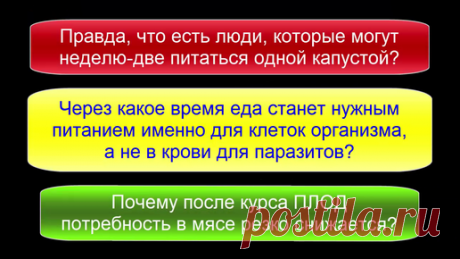Чем хуже состояние организма, тем быстрее умирают его клетки — тем больше нужно белка для их обновления