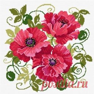 Домашний сыр за 3 часа! - МирТесен