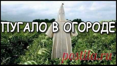 С чего начать. Красивое пугало огородное. Как сделать пугало на дачу своими руками. Лучший способ защитить огород от птиц. ПУГАЛО В ОГОРОДЕ которого даже соседи боятся.
------------------------
 Огородное чучело служит как отпугиватель от злых и прожорливых птиц, так и для устрашения завистливых соседей и непрошеных гостей, а заодно украшает дачу, сад, огород.  
------------------------

#дачасвоимируками #самоделкидлядачи #идеидлядачи #дачныйпартизан 

-------------------...