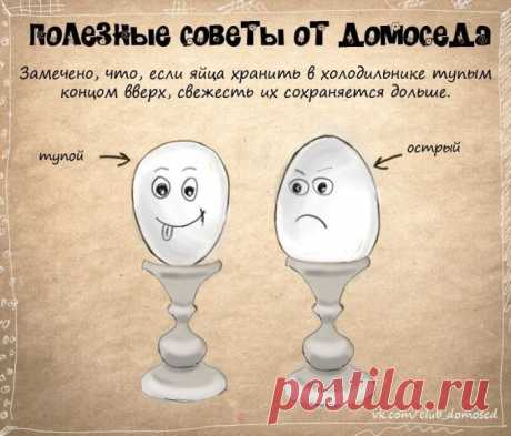 Хозяйке на заметку-3 (24 фото) - ЛоЛс.ру - Позитивный такой смешарик! :-))