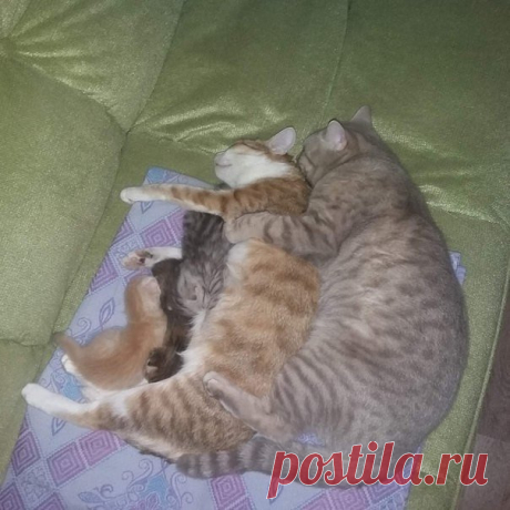 Всё... Мы спать