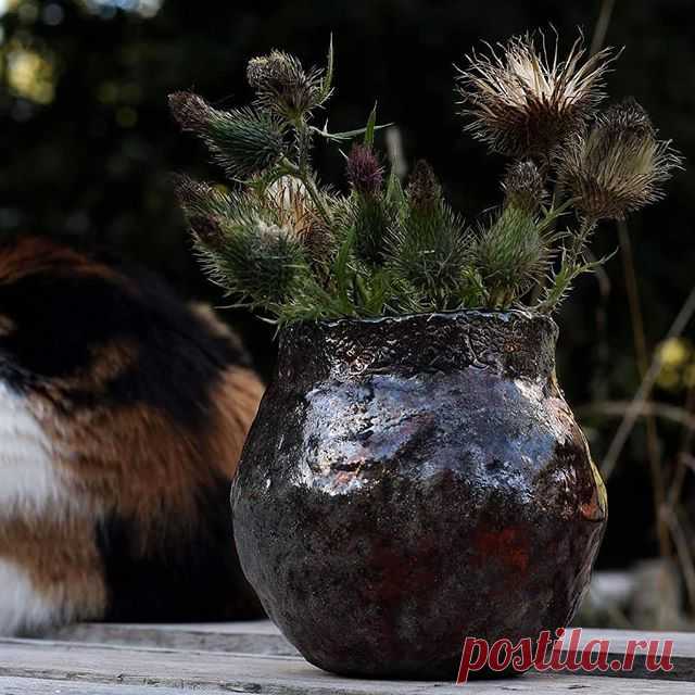 Still life with a cat.
My reasons were weighty: your fur is not the right color,  do not ruin the composition, turn to the camera face at least ...
Dasha was inexorable. No photo session without me !!!
And so ... Vaza Raku, thistle and my favorite cat Dasha.
#raku #rakufired #rakuceramics #rakuvase