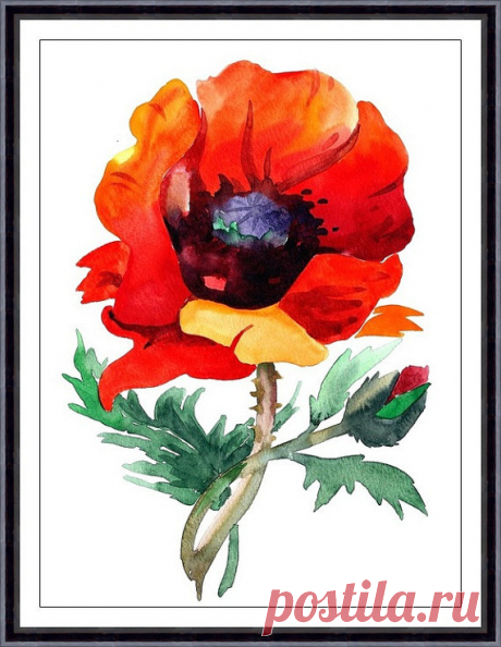 Red poppy original watercolor painting Modern by ARTTARATET