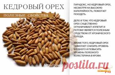 Кедровый орех полезные свойства