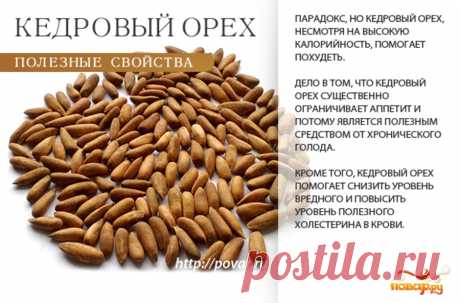 Кедровый орех полезные свойства