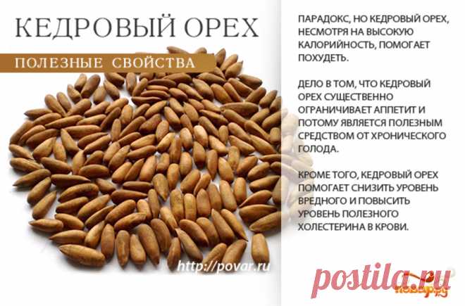 Кедровый орех полезные свойства