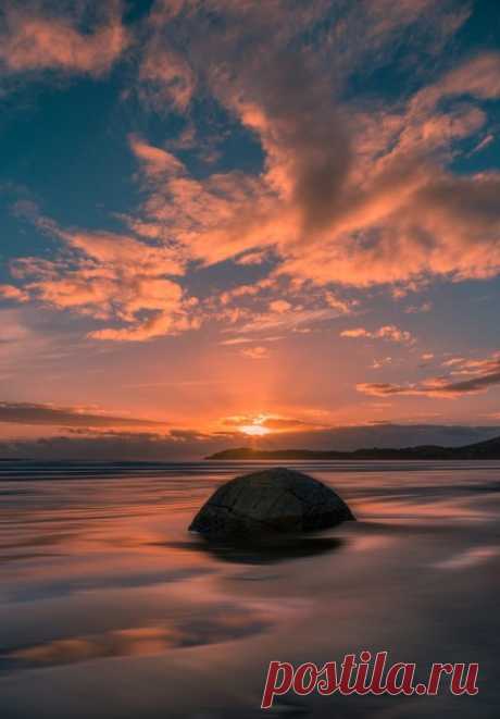 The Rock Jana Luo