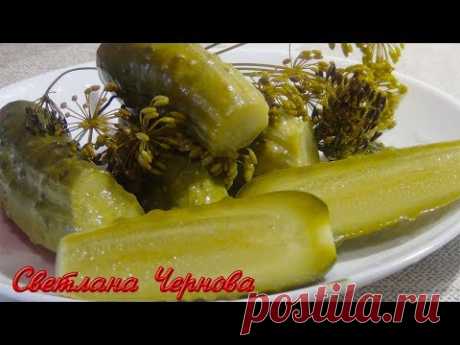 Малосольные огурцы.Очень Хрустящие. За Сутки !!! /Lightly salted cucumber.