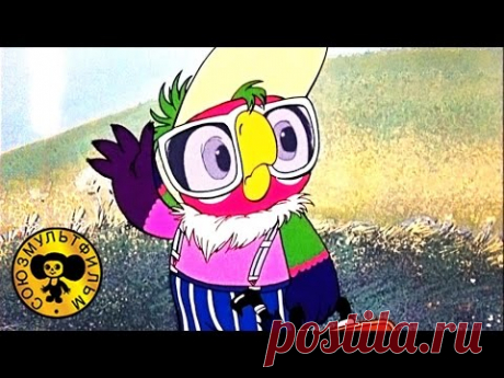 Попугай Кеша - Возвращение блудного попугая | Все серии подряд