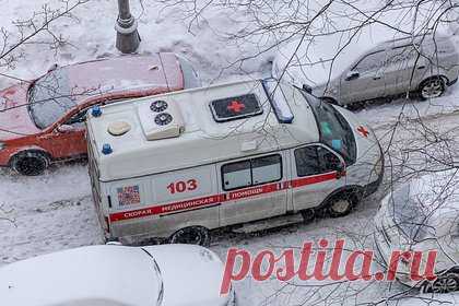 Домашняя собака искусала лицо десятилетней девочке в российском регионе. Девочка из села Тавтиманово пришла в гости к своей подруге, живущей в частном доме. В тот момент во дворе находилась собака, которую хозяева оставили без привязи и намордника. Животное сразу напало на девочку и начало кусать. Мать школьницы сняла на видео окровавленное лицо девочки и оставленные зубами раны.