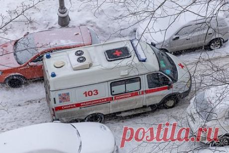 Домашняя собака искусала лицо десятилетней девочке в российском регионе. Девочка из села Тавтиманово пришла в гости к своей подруге, живущей в частном доме. В тот момент во дворе находилась собака, которую хозяева оставили без привязи и намордника. Животное сразу напало на девочку и начало кусать. Мать школьницы сняла на видео окровавленное лицо девочки и оставленные зубами раны.