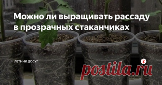 Можно ли выращивать рассаду в прозрачных стаканчиках Совсем скоро наступит активная пора посадки рассады. И поэтому кто-то крутит уже бумажные стаканчики, а кто-то закупает для рассады обычные пластиковые стаканчики. И если с емкостями белого или коричневого цвета вопросов не возникает, то прозрачные стаканчики постоянно вызывают споры.