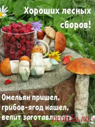 Погода на Емельяна позволяла предсказать осень. Дождь обозначал слякотный прогноз, тепло – долгое бабье лето, жара – ранние морозы.