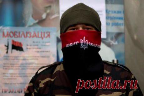 Добровольческим батальонам приказано выйти из сектора "М" на Донбассе