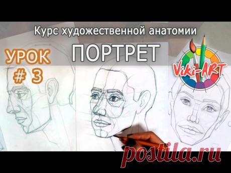 Как нарисовать портрет: ПОЛНЫЙ РАЗБОР! Урок 3: Поворот 3/4. Пропорции лица. Рисуем вместе с Viki-ART