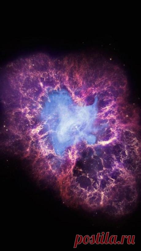 The Reluctant Optimist