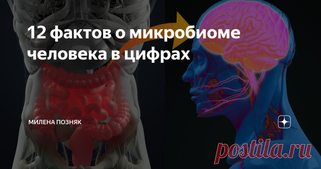 12 фактов о микробиоме человека в цифрах «Что такое человек?» Это извечный вопрос, на который Джастин Зонненбург предлагает уникальный ответ: 