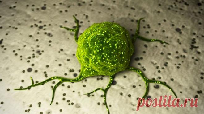 Раковая опухоль — сборище разнообразных клеток-монстров, но самые страшные из них — спящие клетки, невидимые для химиотерапии: они восстанавливают опухоль после того, как опасность миновала.