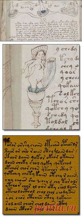 Открытия, которые не смогла объяснить наука. Манускрипт Войнича | НАУКА И ЖИЗНЬ