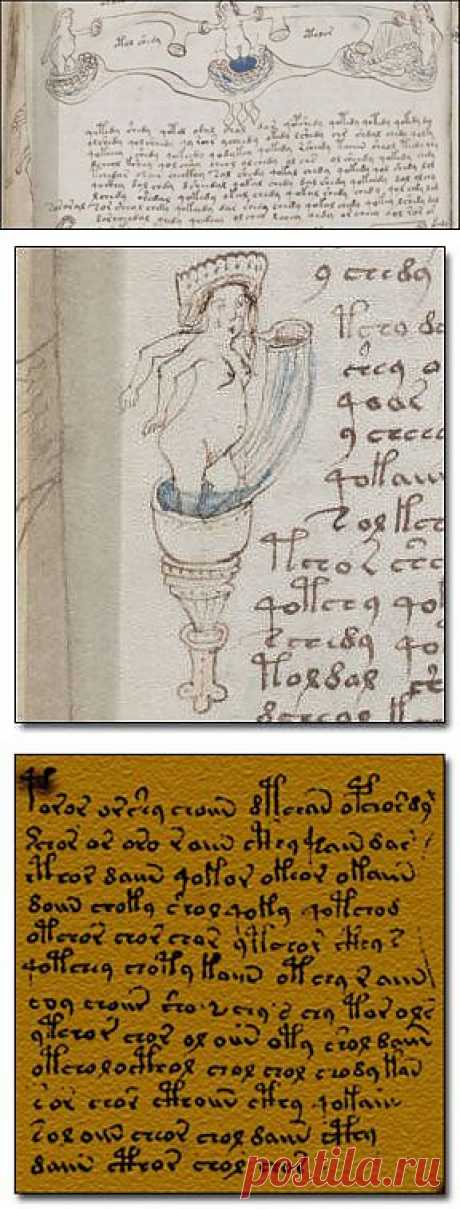 Открытия, которые не смогла объяснить наука. Манускрипт Войнича | НАУКА И ЖИЗНЬ