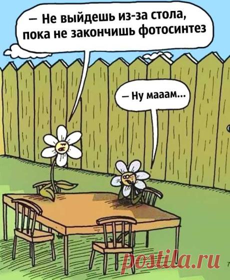 Учитель биологии!